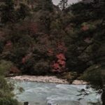 HOME A tranquil mountain river surrounded by lush autumn foliage and towering trees.